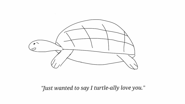 turtle valentine